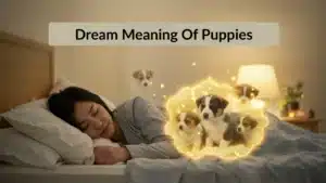dream meaning of puppies