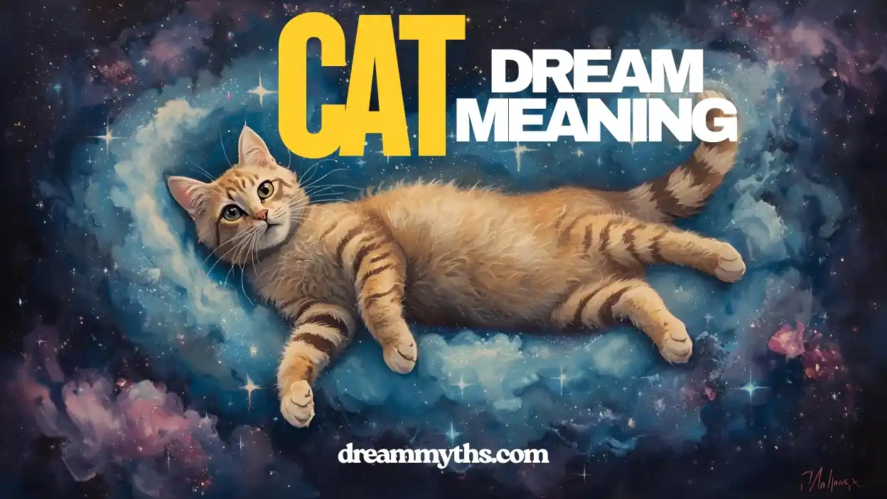 cat dream meaning