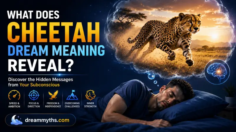 What Does Cheetah Dream Meaning Reveal showing a sleeping man dreaming of a cheetah running across a savanna