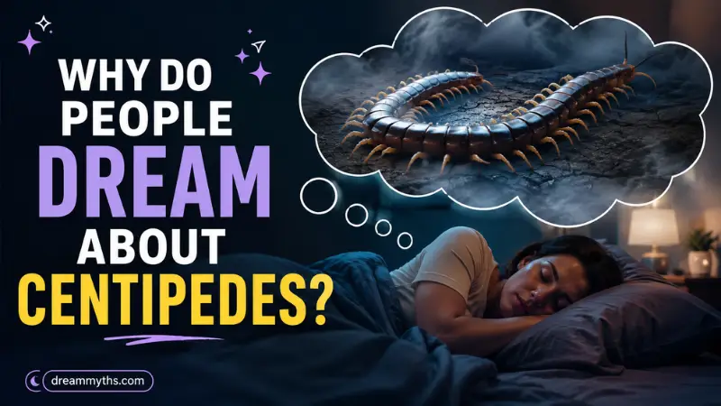 Dreamer sleeping while imagining a centipede in a surreal dream scene
